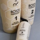 Набір для відновлення волосся Raywell Botоx Hairgold Kit 1000 мл + 1000 мл + 150 мл