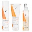 Подарунковий набір Sinergy для реконструкції сухого пошкодженого волосся серії Y1, 250/250/200 мл