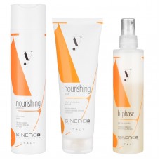 Набір Sinergy для реконструкції сухого пошкодженого волосся серії Y1, 250/250/200 мл