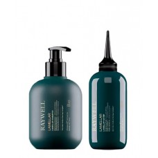 Набір Raywell BIO Lamellar ламелярні шампунь і вода інтенсивного блиску та зволоження волосся (RR601/RR603), 275+200 мл