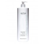 Шампунь проти лупи Envie Flakes Control Shampoo (EN373) 1000 мл